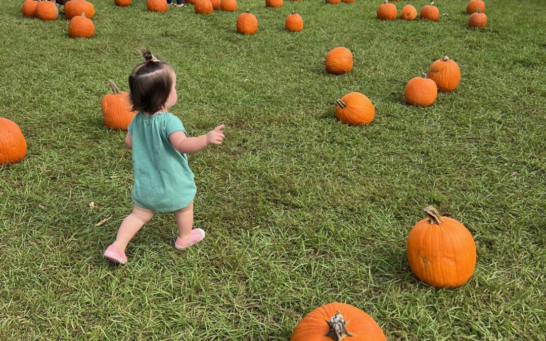 Little girl in pumpkin field for Hobe Sound small business marketing.