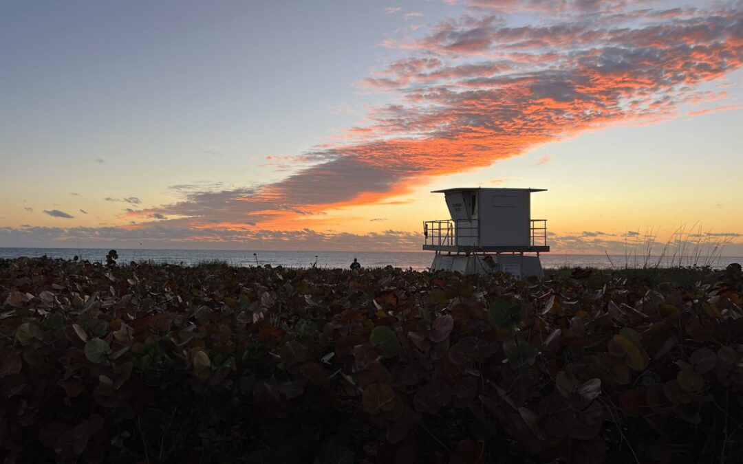 Hobe Sound, Florida online marketing agency near lifeguard tower beach view.