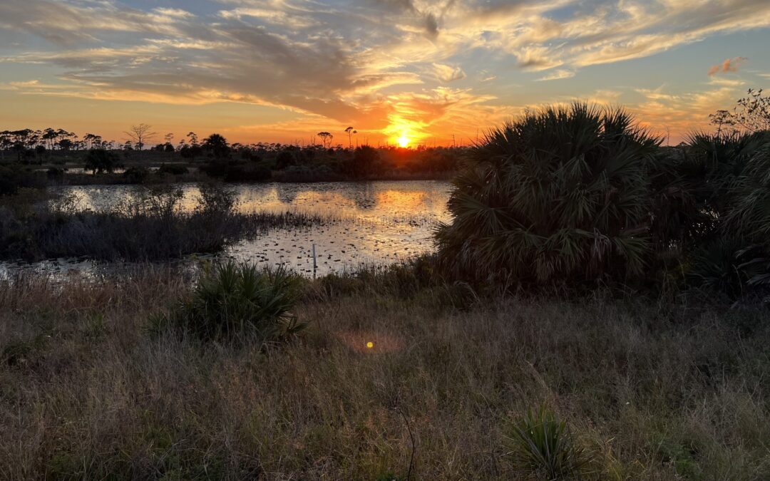 Hobe Sound, FL sunset by pond: local SEO for small business.