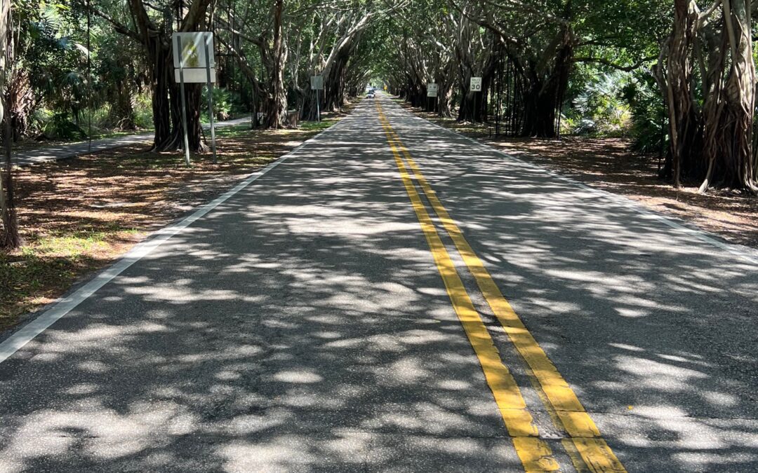 Tree-lined road in Hobe Sound, ideal for digital marketing consultants.